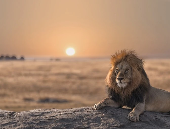 7-Day Kenya & Tanzania Great Migration Safari